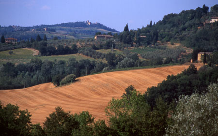 Paesaggio Toscano (estivo)
