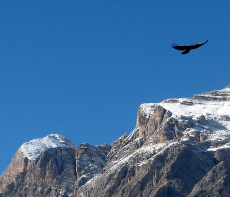 In volo sulle tofane