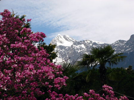 Panorami di Merano