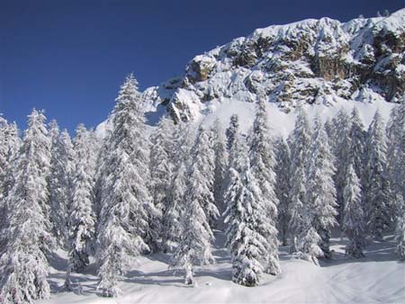 Montagna d'inverno