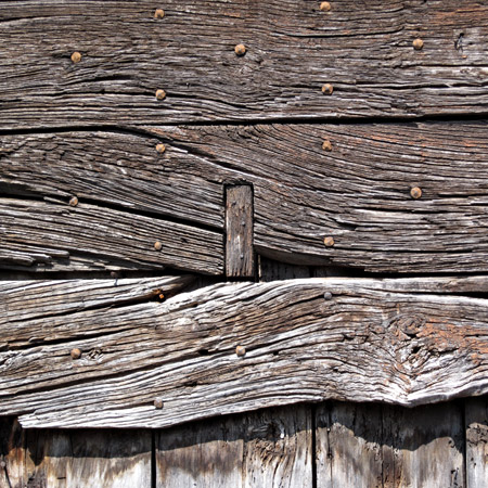 Le nervature del vecchio legno