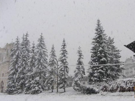 Cortina d'Ampezzo: abeti carichi di neve