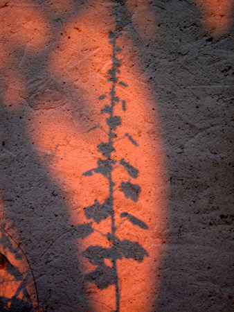 L'ombra di un caldo tramonto