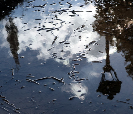 Dopo la pioggia nascono i riflessi