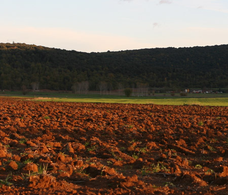 Il colore della terra rossa alla luce del tramonto