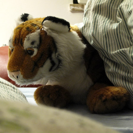 Una tigre dentro il letto Una tigre dentro il letto