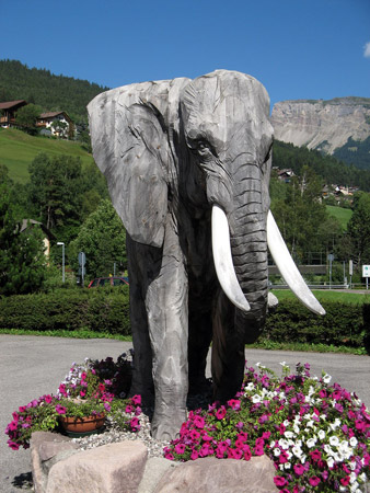 Un elefante sulle Dolomiti
