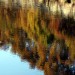 L'autunno visto dal Tevere