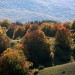 Dal verde al rosso, passando per il giallo