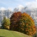 Finalmente autunno sulle Dolomiti