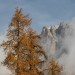 Autunno sul monte Cristallo