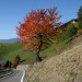 Autunno sulla strada del Passo delle Erbe