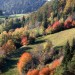 Colorazione autunnale