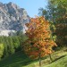 Sta arrivando l'autunno