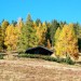 Siamo proprio in autunno