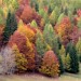 Autunno dolomitico