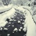 Madonna di Campiglio - dopo 4 giorni di nevicata