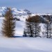 Neve incontaminata, guardando Piz la Ila