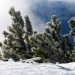 Spolverata di neve fresca