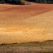 Il colori della terra