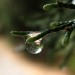 Dentro una goccia d'acqua