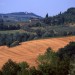 Paesaggio Toscano (estivo)
