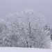 L'inizio dell'inverno