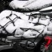 Porta neve per moto