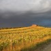 Cielo nero e raggi di sole durante un temporale