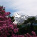 Panorami di Merano