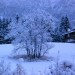 Con l'autunno l'arrivo della prima neve