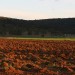 Il colore della terra rossa alla luce del tramonto