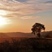 Tramonto sulla campagna umbra