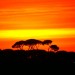 Tramonto africano...