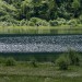 Un refolo di vento sul lago Nambino