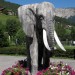 Un elefante sulle Dolomiti